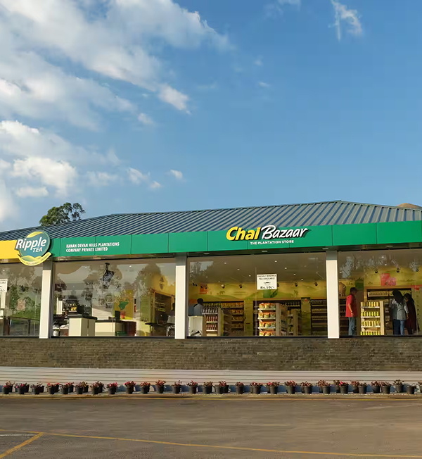 Chai Break - KDHP House